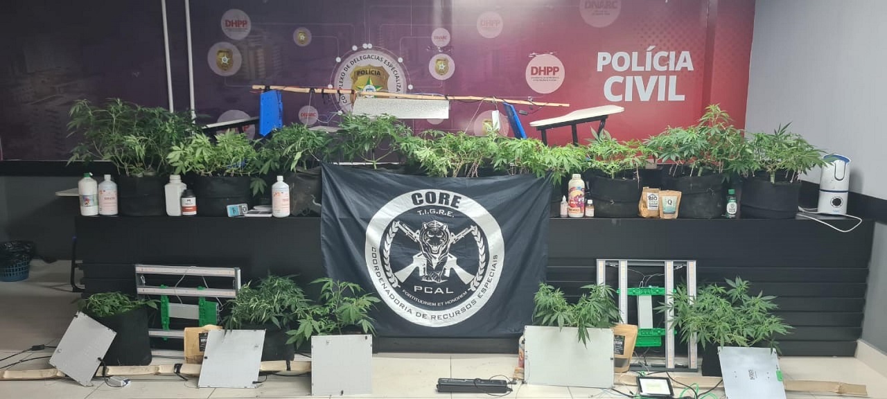 Polícia Civil estoura laboratório usado para cultivo e refinamento de maconha em Maceió